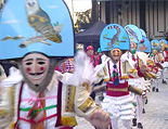 Carnaval de Verín